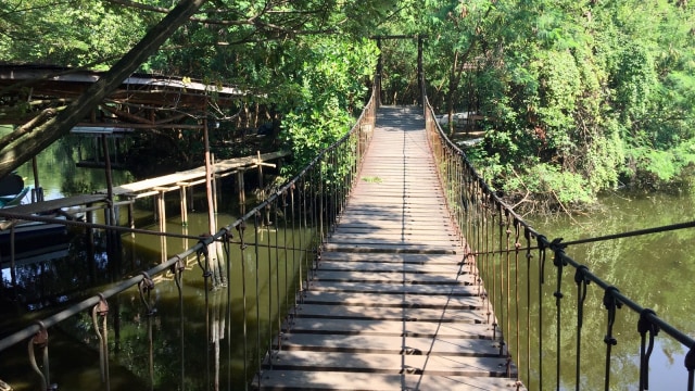 Taman Wisana, Mother Mangrove